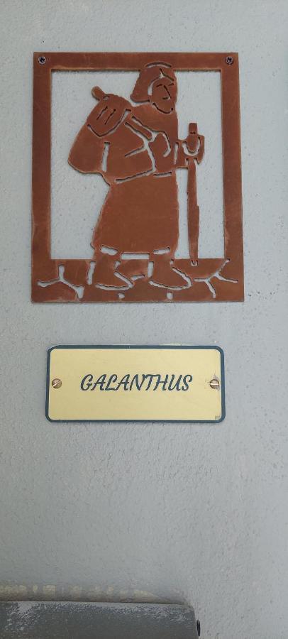 Galanthus Apartment Aosta Bagian luar foto